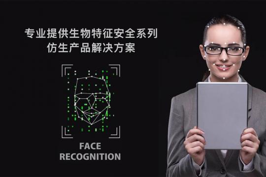 武汉莫问科技有限公司